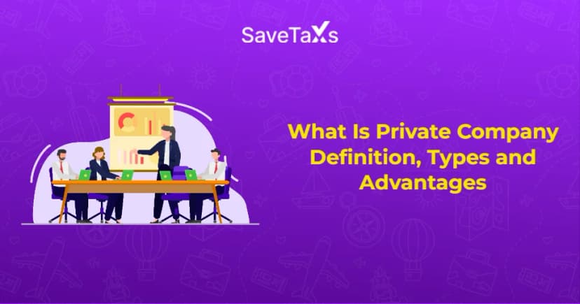 What Is a Private Company: Definition, Types and Advantages
