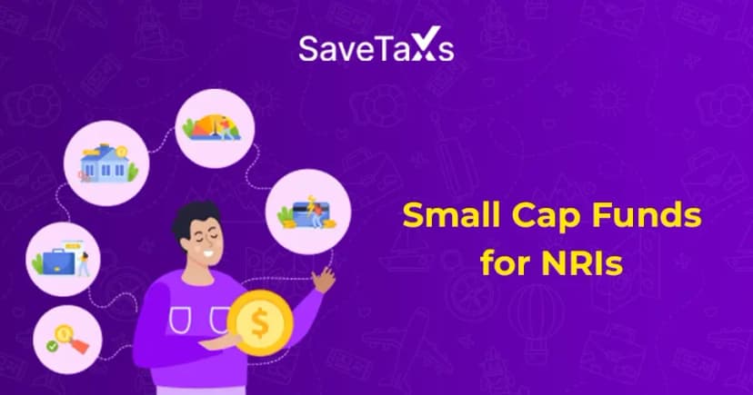 Small Cap Funds for NRIs: All You Need to Know About